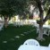 Hotel Zileli